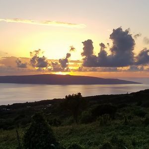 Meet your Posher, Anne